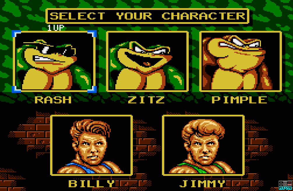 Battletoads & Double Dragon: The Ultimate Team