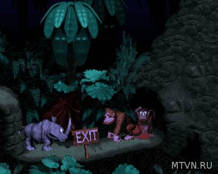 Donkey Kong Country