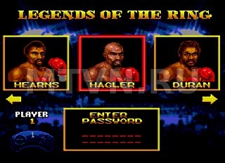 Boxing Legends of the Ring