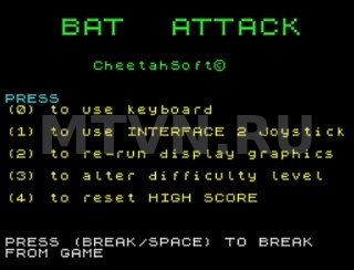 3D Bat Attack